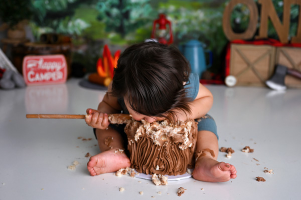 Toddler milestone first birthday celebration